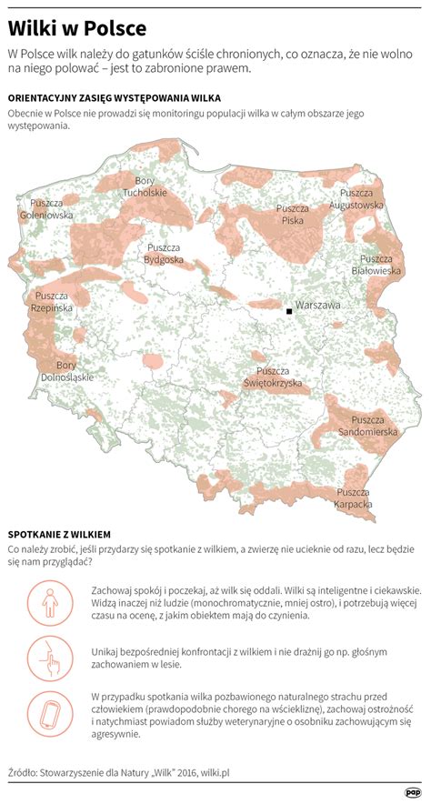f wilak|Poland .